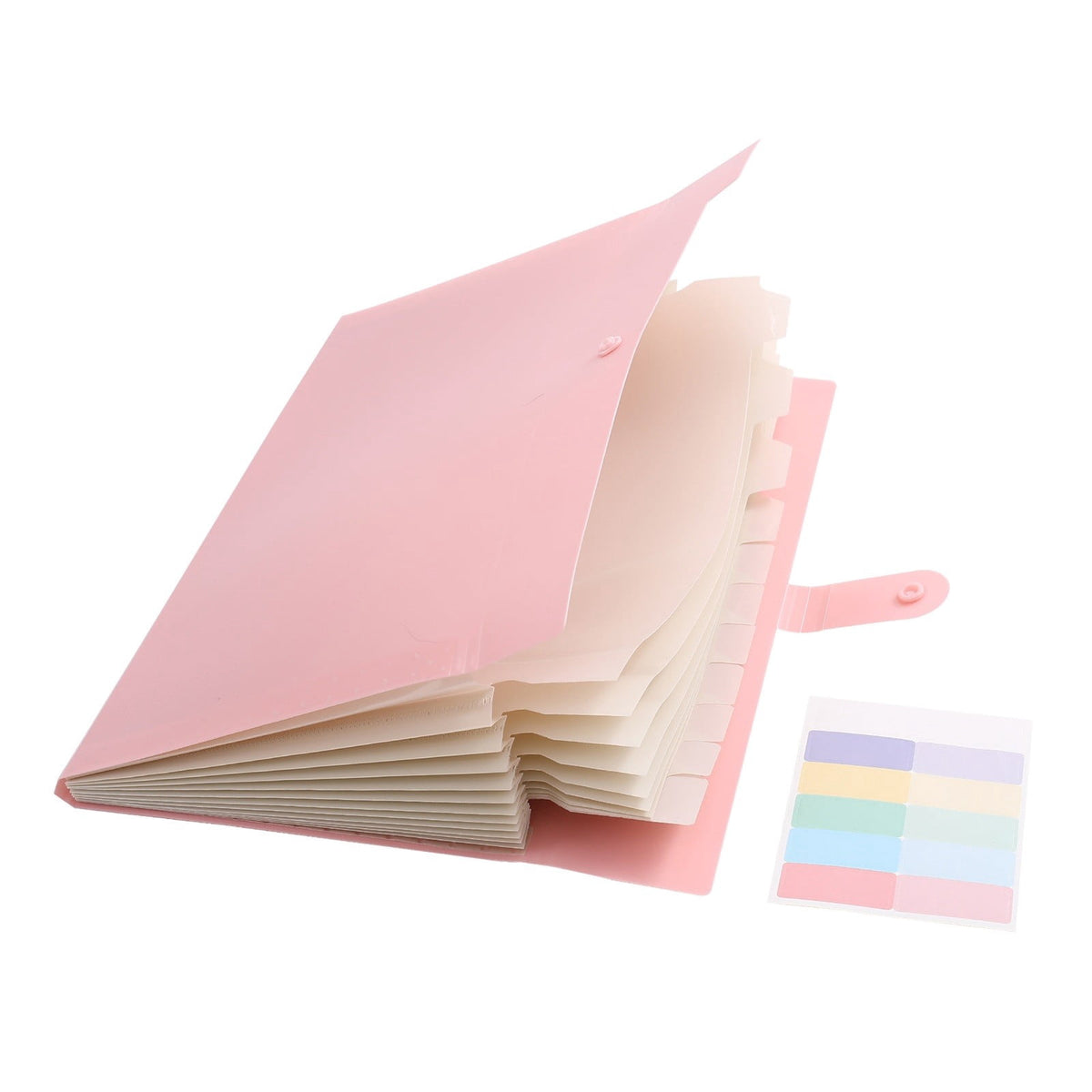 Twelve-Pocket Accordion File Folder in Pink with Label Stickers, Letter Size